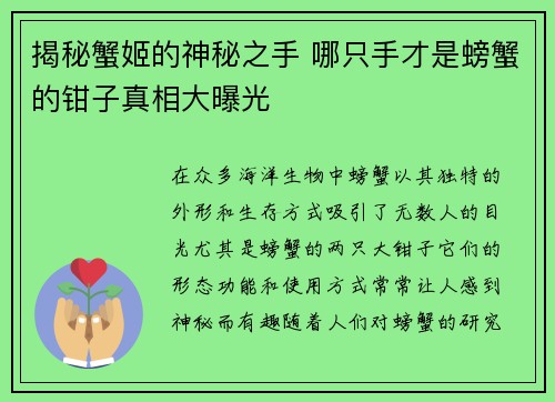 揭秘蟹姬的神秘之手 哪只手才是螃蟹的钳子真相大曝光